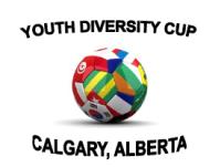 diversity cup